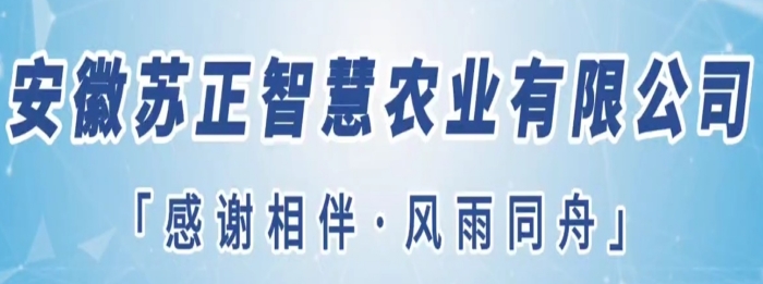 守望初心勇?lián)?，篤定前行綻芳華